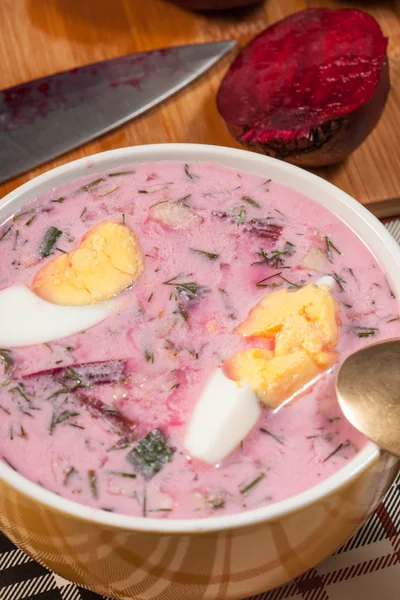 Sopa de remolacha fría . — Foto de Stock