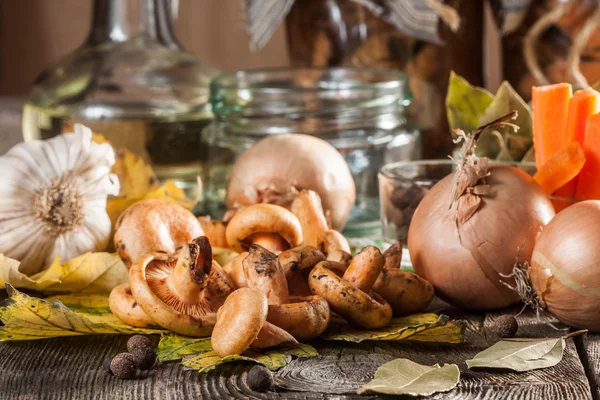 Gemarineerde paddestoelen. — Stockfoto