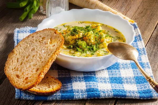 Gemüsesuppe. — Stockfoto