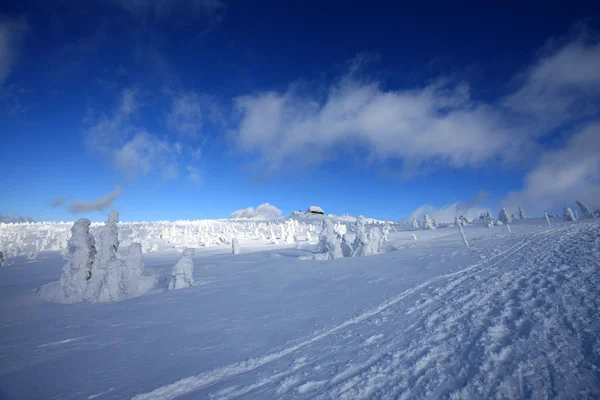 Mountain hut on the top of Szrenica in Poland. — Stock Photo, Image