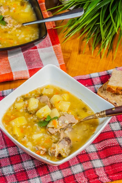 Soup with buck. — Stock Image Soup with buck. Stock Image