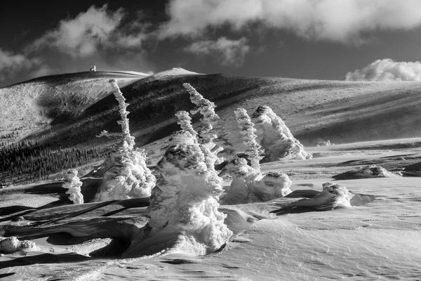 Cabaña de montaña en la cima de Snow Cirques en Polonia . — Foto de Stock