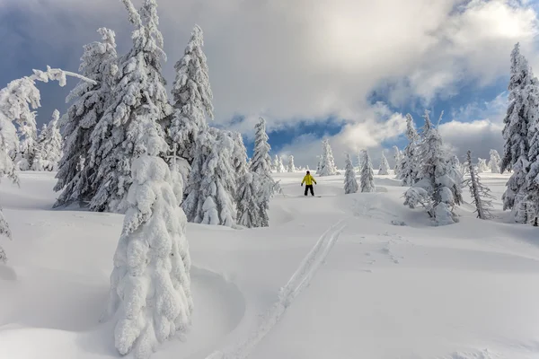 Paesaggio invernale. — Foto Stock