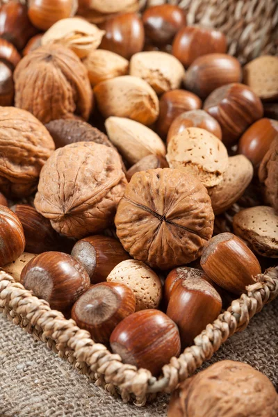 Collection of shelled nuts and nutcracker. Royalty Free Stock Photos