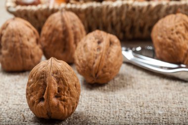Kabuklu Fındık ve Fındıkkıran koleksiyonu.