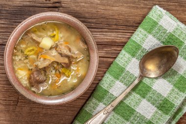 buğday ve sebze çorbası.