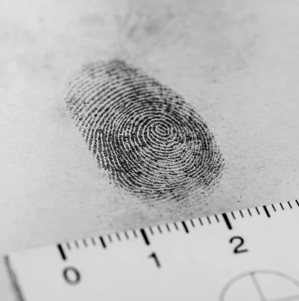 Fingerprint — Stock Photo, Image