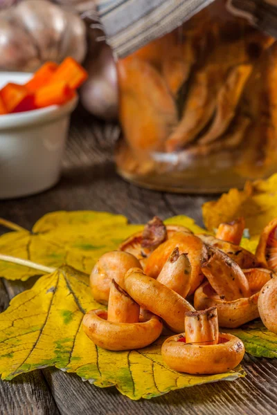 Marinierte Champignons. — Stockfoto