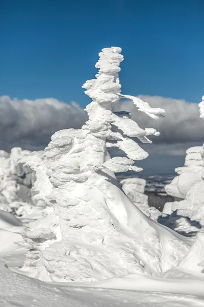 Winter landscape. — Stock Photo, Image