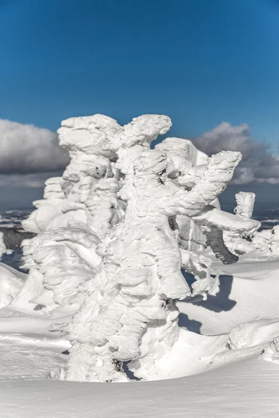 Winter landscape. — Stock Photo, Image