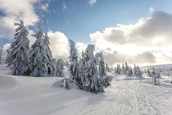 Djup snö. — Stockfoto