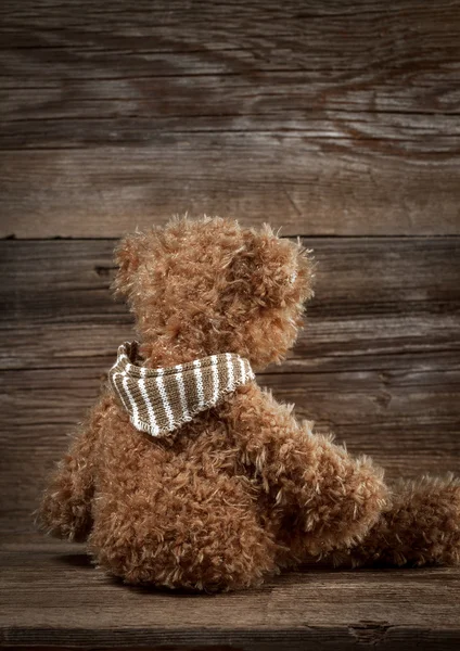 Teddy bear. — Stock Photo, Image