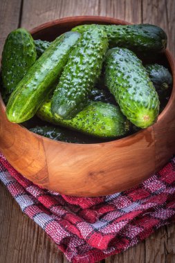 taze yeşil salatalık.