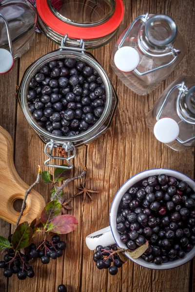 Black chokeberry. — Stock Photo, Image