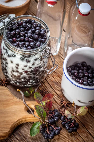 Chokeberry preto . — Fotografia de Stock