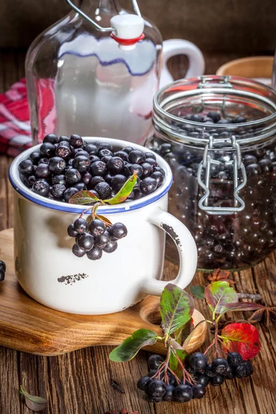 Chokeberry preto . — Fotografia de Stock