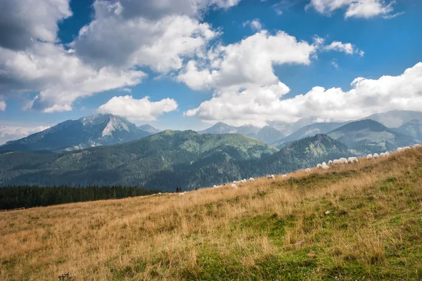 Tatragebirge. — Stockfoto