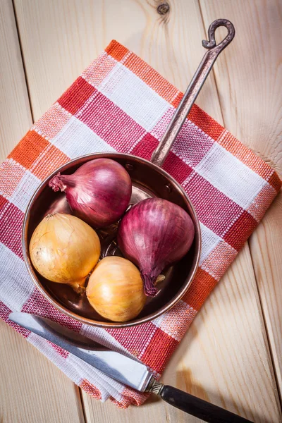 Zwiebeln. — Stockfoto