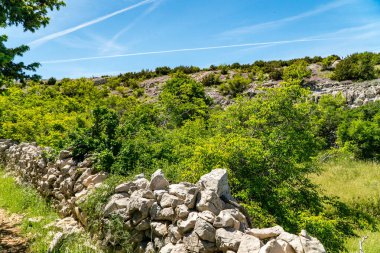 Aziz Vitus Dağı 'nın (Sveti Vid) tepesine yürüyüş yolu Pag adasının en yüksek zirvesi..
