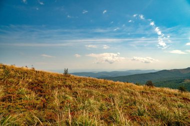 Tarnica, Halicz ve Rozsypaniec bölgesinde Bieszczady Dağları 'nda bir dağ sırası.