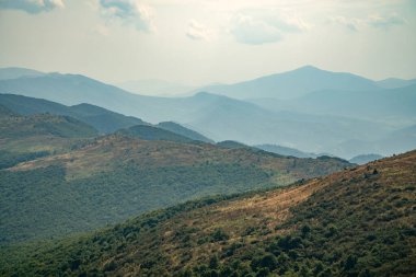Tarnica, Halicz ve Rozsypaniec bölgesinde Bieszczady Dağları 'nda bir dağ sırası.