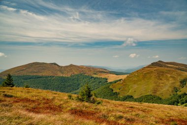 Tarnica, Halicz ve Rozsypaniec bölgesinde Bieszczady Dağları 'nda bir dağ sırası.