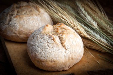 Fırından yeni çıkmış huysuz rulo.