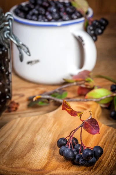 Black chokeberry in container. — Stock Photo, Image