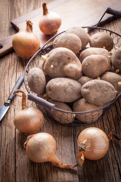 Biologisch geteelde aardappelen. — Stockfoto