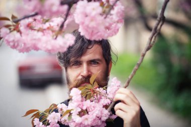 Karizmatik sakallı, uzun bıyıklı ve kır saçlı yetişkin bir adam baharda kiraz ağaçlarının yanında çiçek açıyor.