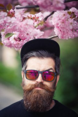 Ciddi sakallı, uzun bıyıklı, gri saçlı, parlak gözlüklü ve baharda kiraz çiçeklerinin yanında beyzbol şapkası takan bir adam. Dikey fotoğraf