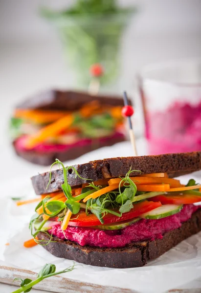 Duas sanduíches Vegan — Fotografia de Stock