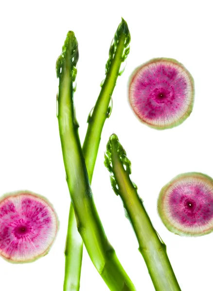 Verse asperges en radijs — Stockfoto