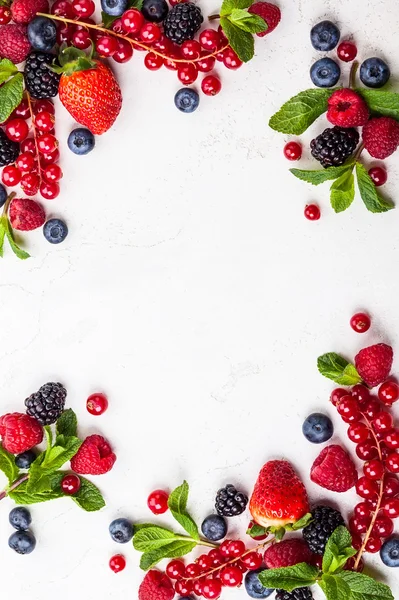 Различные свежие летние ягоды — стоковое фото