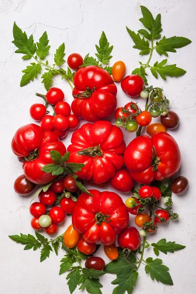 Fresh tomatoes with green leaves — Stock Photo, Image