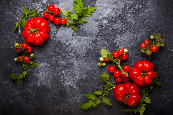 Čerstvá rajčata s zelenými listy — Stock fotografie