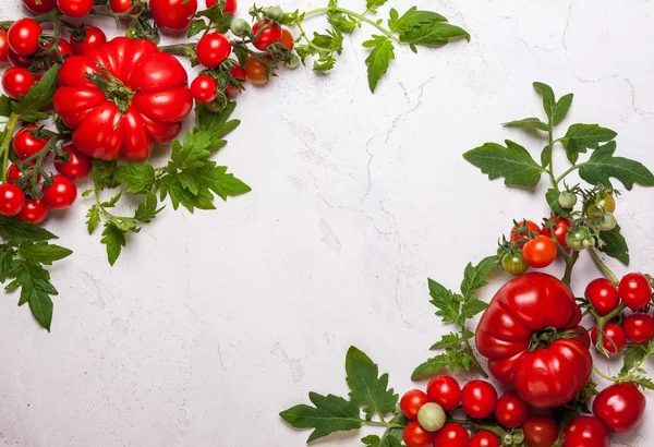 Färska tomater med gröna blad — Stockfoto