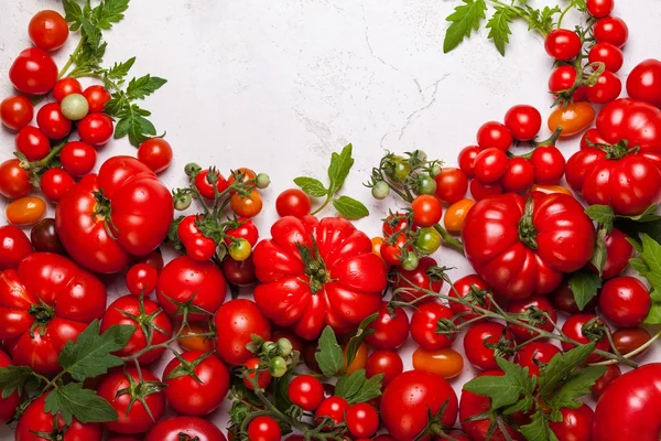 Frische Tomaten mit grünen Blättern — Stockfoto