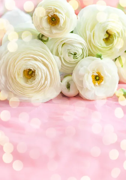 Красивые белые цветы — стоковое фото