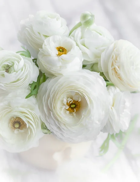 Bouquet of white ranunculus — Stock Photo, Image