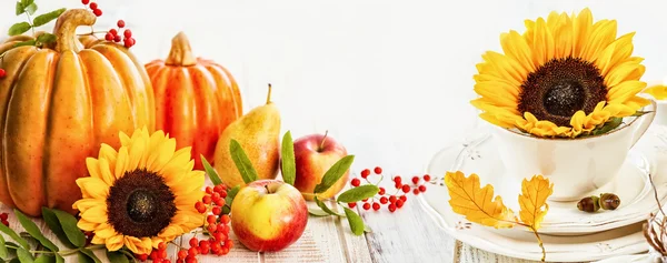 Höstfrukter och höstgrönsaker — Stockfoto
