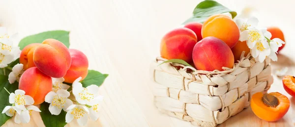 Čerstvé meruňky s listy a květy — Stock fotografie