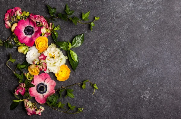 Vackra blommor sammansättning — Stockfoto