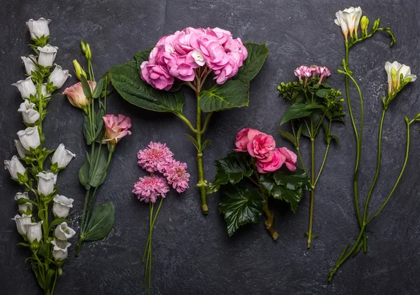 Blumen auf dem schwarzen Hintergrund — Stockfoto