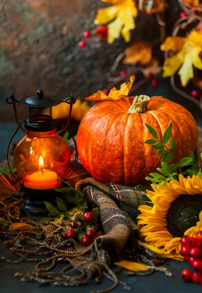Осень натюрморт с тыквой — стоковое фото