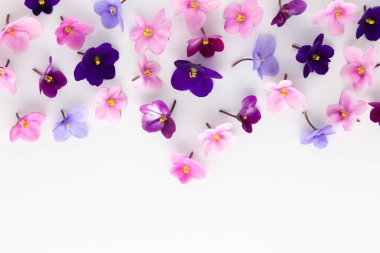 Beyaz arka planda yenilebilir menekşeli bahar ya da yaz çiçeği kompozisyonu. Düz konum, kopyalama alanı. Sağlıklı yaşam ve çiçek kavramı.