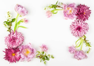 Beyaz arka planda güzel pembe çiçekler. Çiçek kompozisyonu. Yaz çiçeği konsepti. Düz yat, boşluğu kopyala.