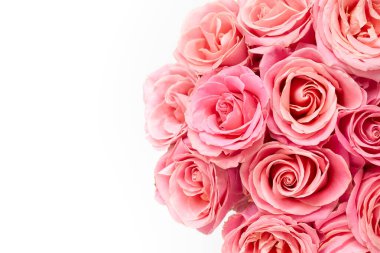 Güzel taze pembe güller. Çiçek arkaplanı. Kopyalama alanı olan üst görünüm.