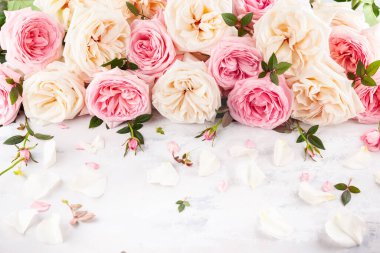 Kaliteli arka planda güzel pembe ve beyaz güller. Çiçek arkaplanı.