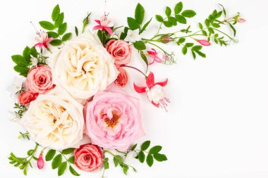 Güzel taze beyaz ve pembe güller. Çiçek arkaplanı. Üst görünüm.